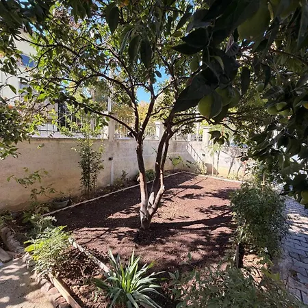 Orange Garden